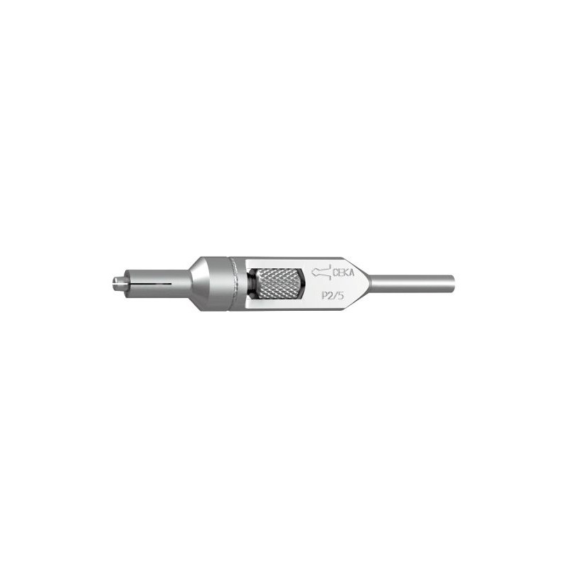 STEM FOR FEMALE