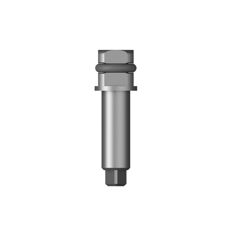 TORQUE WRENCH BIT