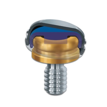 ZEST DENTAL - PROSTHETIC KIT