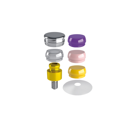 RHEIN83 - OT EQUATOR ABUTMENTS
