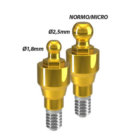 RHEIN83 - OT SPHERO BLOCK ABUTMENTS